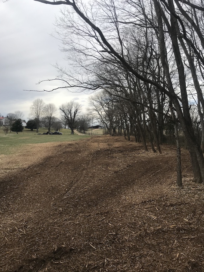 Nashville, TN Land Clearing | All Terrain Land Clearing and Brush Control - after1