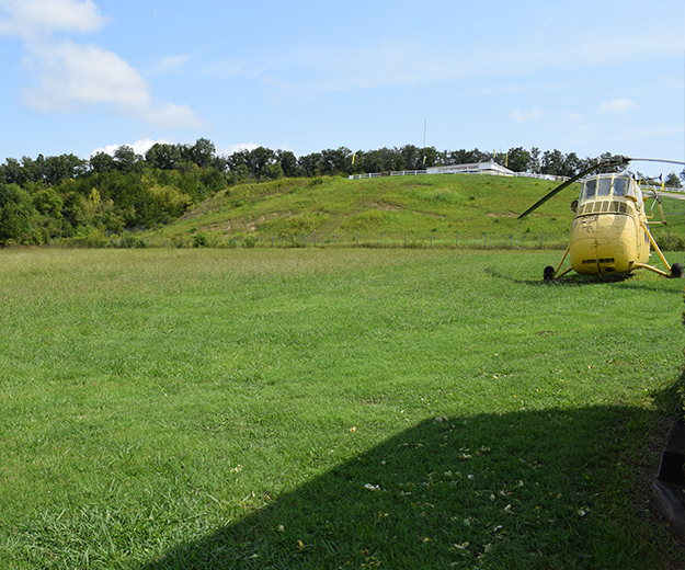 Brush Clearing: Brush Removal in Nashville | All Terrain Land Clearing and Brush Control - before1