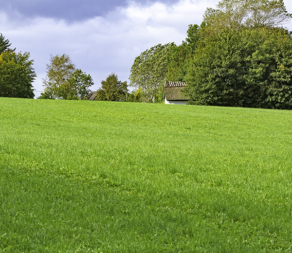 Pasture Mowing