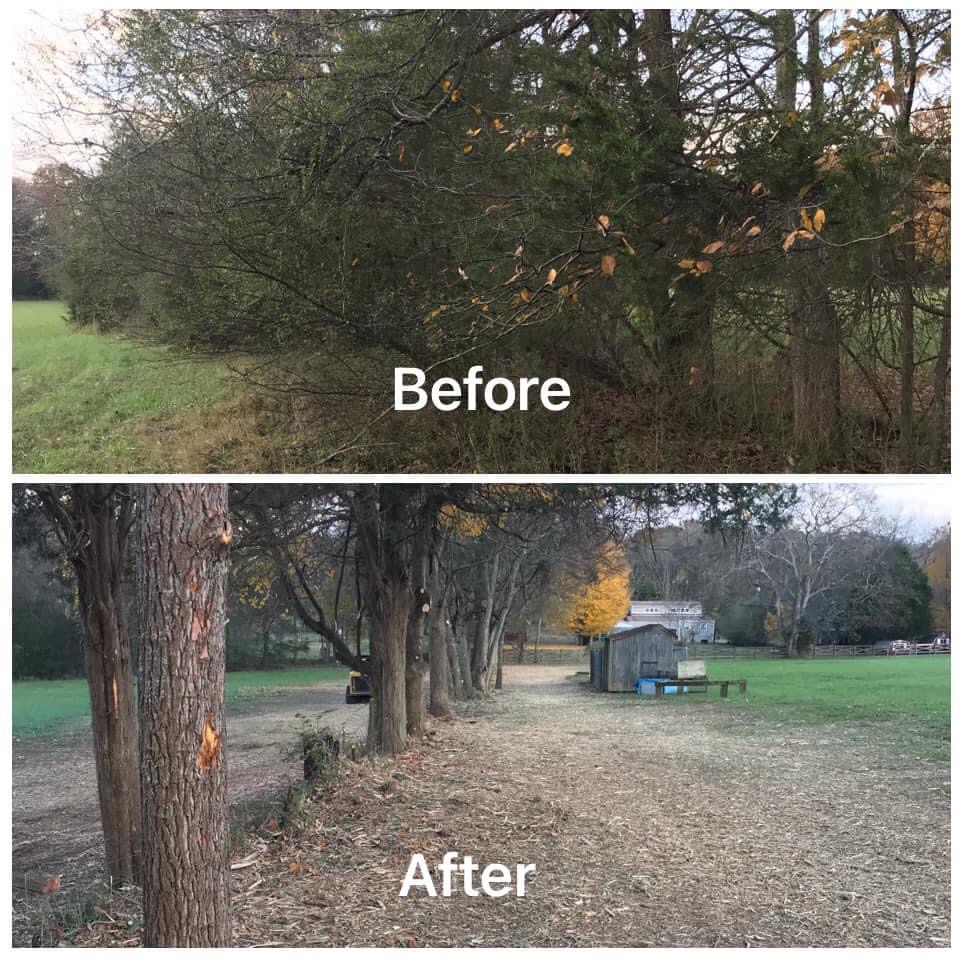 Land Clearing Before and After Photo