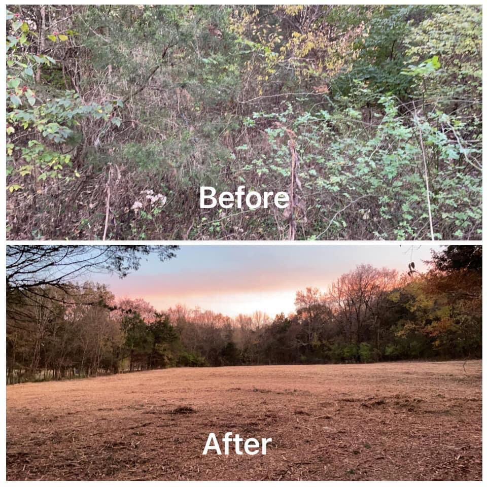 Land Clearing Before and After Photo